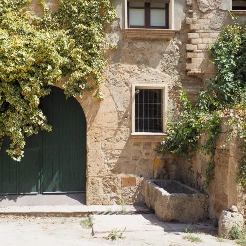 poble hotel tall de conill
